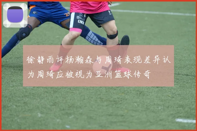 徐静雨评杨瀚森与周琦表现差异认为周琦应被视为亚洲篮球传奇