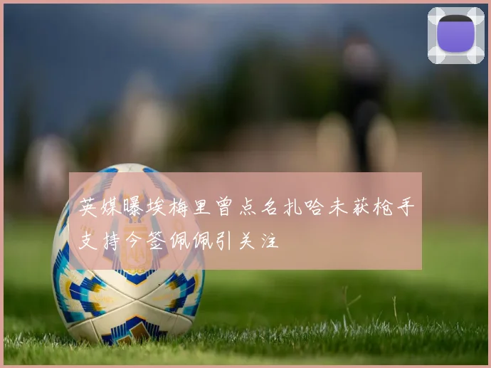 英媒曝埃梅里曾点名扎哈未获枪手支持今签佩佩引关注