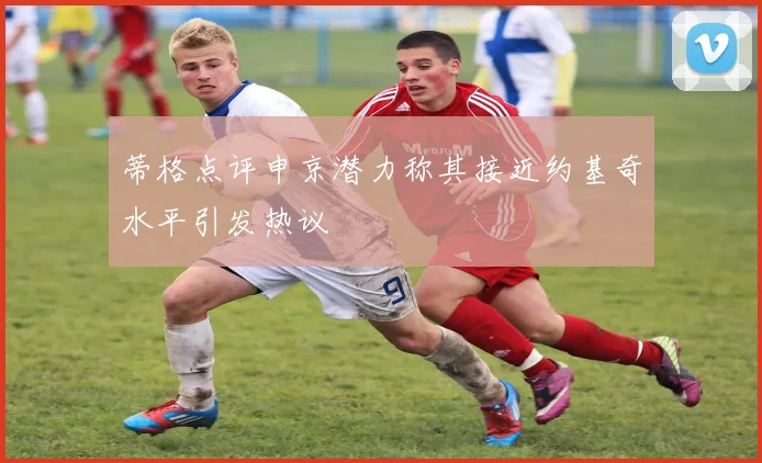 蒂格点评申京潜力称其接近约基奇水平引发热议