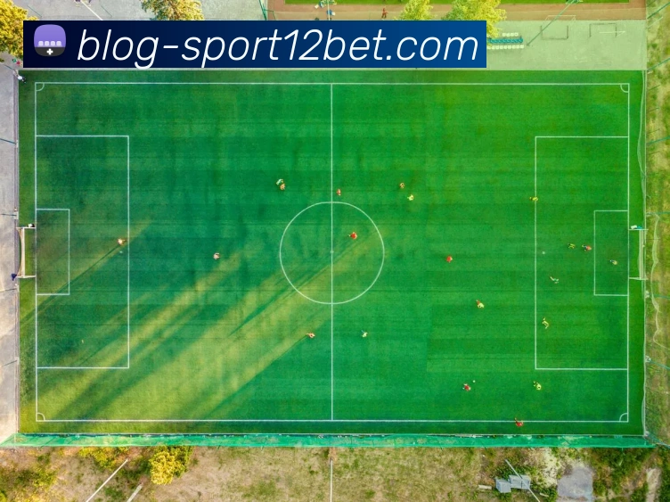 12bet平台生态图